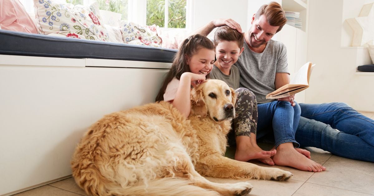 Benefits of Having a Pet-Friendly Rental