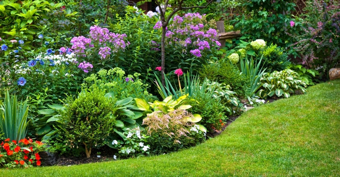 Dont wait for Spring garden blog