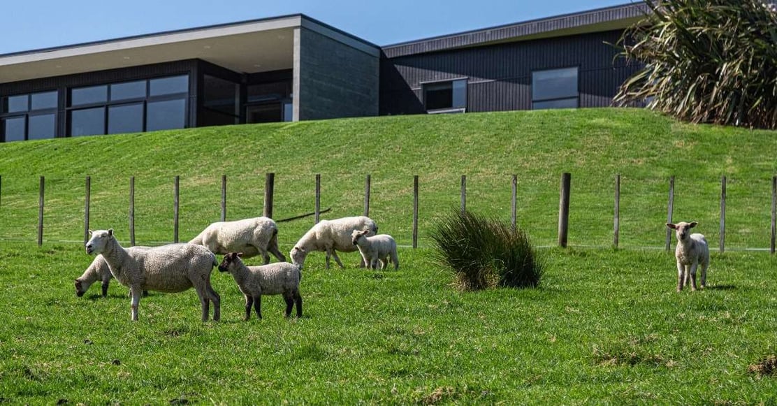 Lifestyle living what every new block owner should know blog