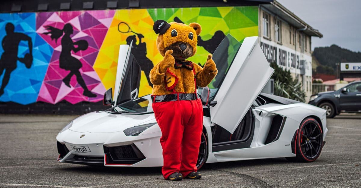 Wheels, Wings and Rotors - Mr Hooker Bear