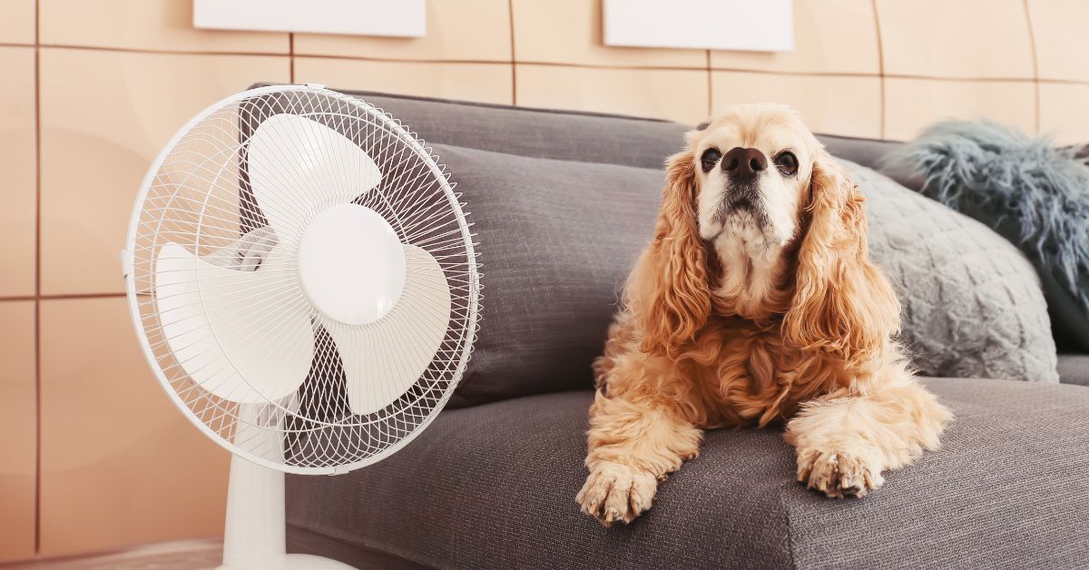 7 Tips for Keeping Cool This Summer