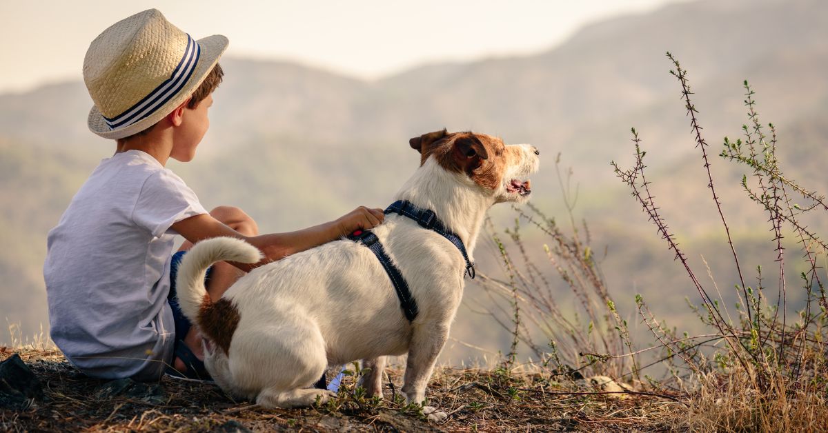 Preparing Kids and Pets to Move House